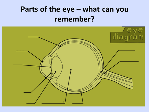 The eye powerpoint presentation