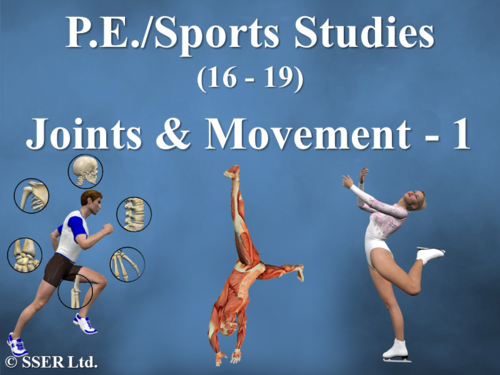 PE_A_Joints and Movement - 1