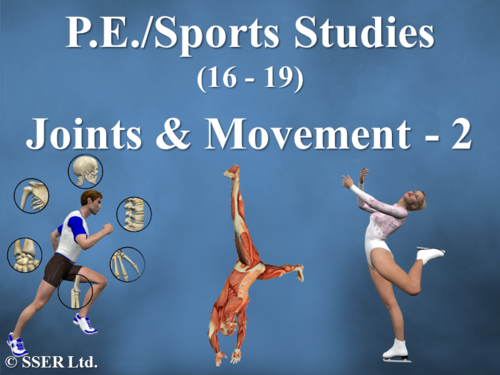 PE_A_Joints and Movement - 2