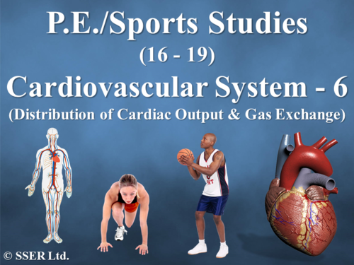 PE_A_Cardiovascular - 6 (Distribution of Cardiac Output & Gas Exchange)