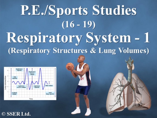 PE_A_Respiratory System - 1 (Respiratory Structures & Lung Volumes)