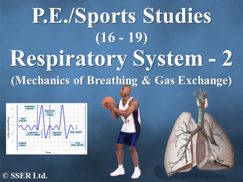 PE_A_Respiratory System - 2 (Mechanics of Breathing & Gaseous Exchange ...