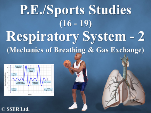 PE_A_Respiratory System - 2 (Mechanics of Breathing & Gaseous Exchange)