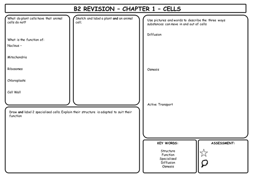 B2 Revision Mats for AQA Additional Science (whole unit)
