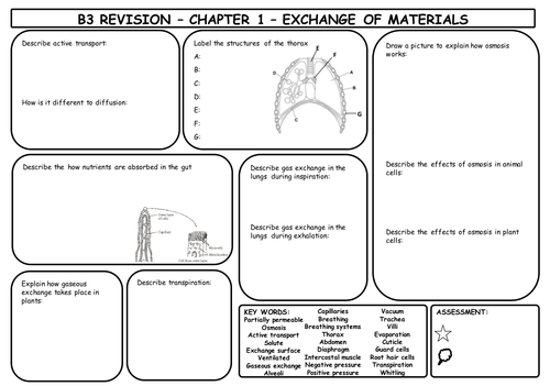 B3 Revision Mats for AQA Triple Science (whole unit)
