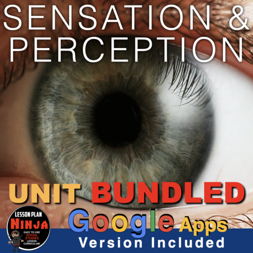 Sensation and Perception Unit: PowerPoint, Worksheets, Plans+Test Video Clips