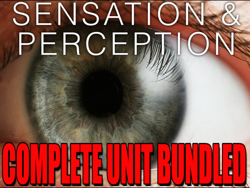 Sensation and Perception Unit: PowerPoint, Worksheets, Plans+Test Video Clips
