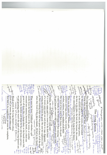 Feminine Gospels: Annotated copies of the poems