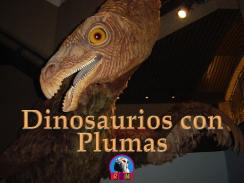 Dinosaurios: Los Dinosaurios con Plumas