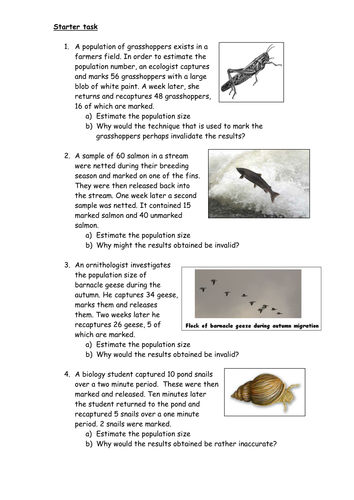 Mark-Release-Recapture