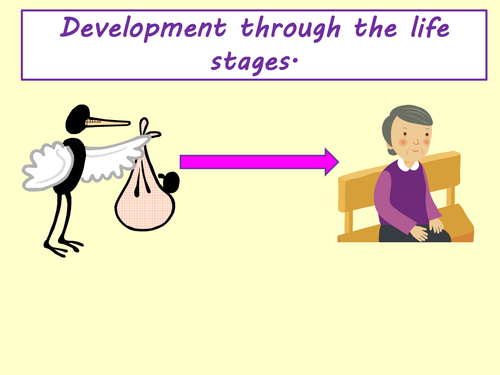 Edexcel level 2 Health and social care - introduction to life stages