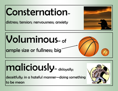 The House of the Scorpion-Word Wall-102 Words