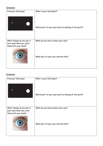 The Eye - Light NEW KS3 Observation lesson | Teaching Resources