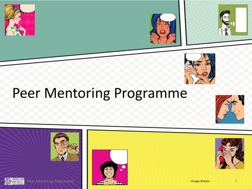 Peer Mentoring Programme