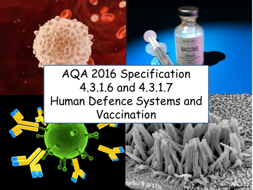 AQA GCSE Biology 2016 Specification 4.3.1.6 & 4.3.1.7 -  Human Defence Systems & Vaccination