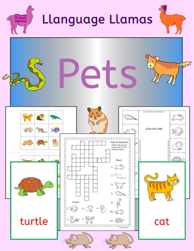 Pets - Fun Vocabulary learning activities