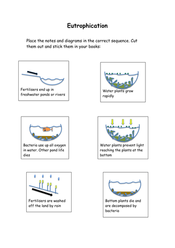 New Curriculum Scheme Of Work For Year 8 S On Environmental Factors Teaching Resources