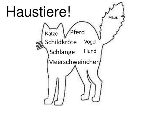 KS3 German Haustiere/pets 3 lessons