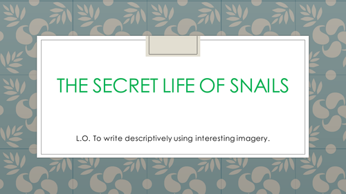 THE SECRET LIFE OF SNAILS - descriptive & creative writing tasks (AQA)