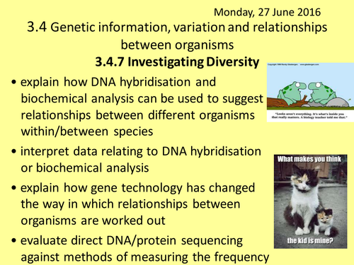 NEW AQA AS Biology - Unit 4 - Genetic Information - 3.4.7 Investigating Diversity