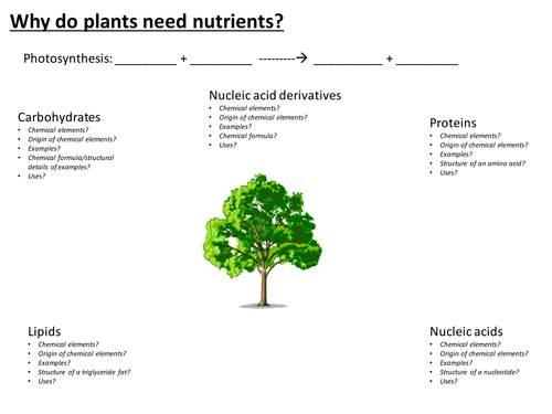 Why do plants need nutrients?