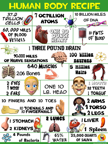 Health and Science Poster: Human Body Recipe