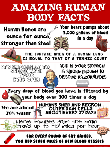 Health and Science Poster: Amazing Human Body Facts