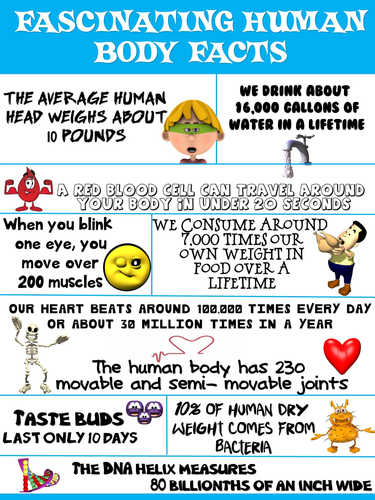 Body facts