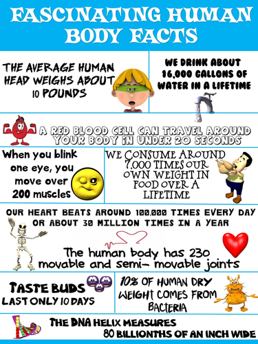 Health and Science Poster: Fascinating Human Body Facts
