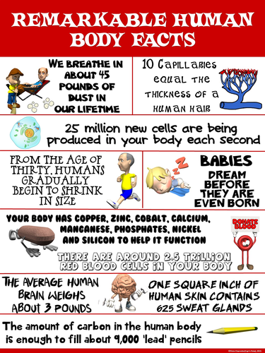 Health and Science Poster: Remarkable Human Body Facts