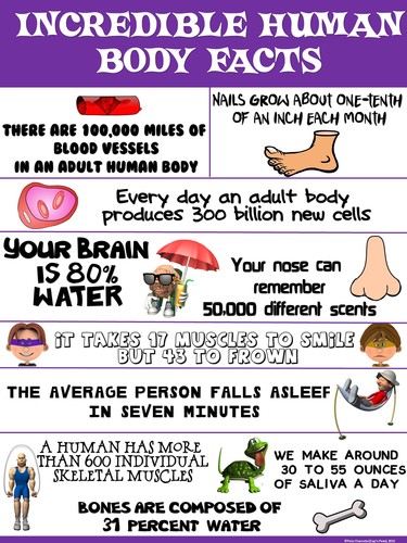 Health and Science Poster: Incredible Human Body Facts
