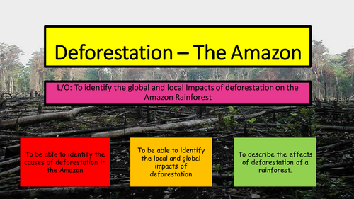 Rainforest 3 hours Year 9-11