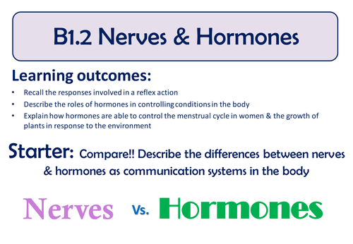 Nerves & Hormones