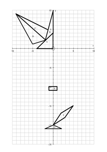 Transformations Flowers