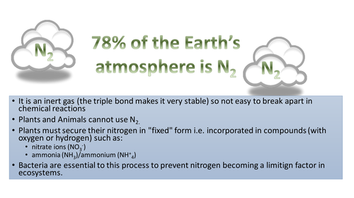 NITROGEN  CYCLES IN ECOSYSTEMS