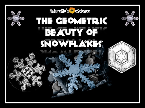 The Geometric Beauty of Snowflakes - 3 PowerPoints with Study Guide Bundle