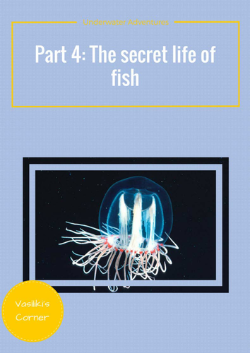 Underwater adventures Part 4: The secret life of fish