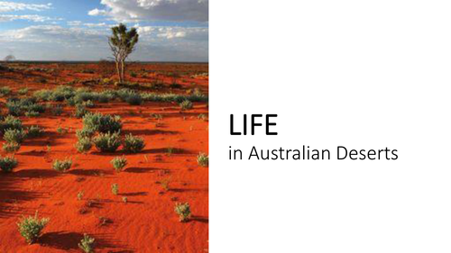 Australian Desert Plant Life