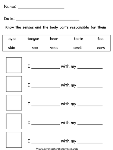 The 5 Senses and the Body Parts Responsible for Them  KS1 Lesson Plan  and Worksheet