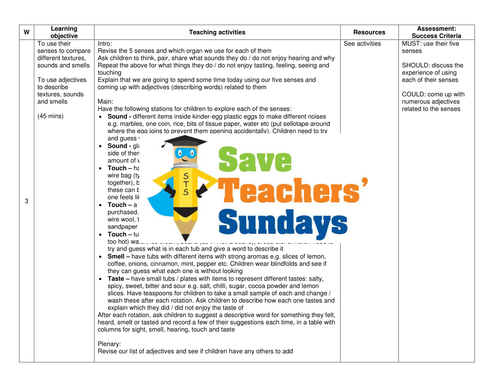  Using our Senses KS1  Lesson Plan