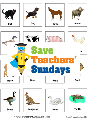 Animals and their Offspring KS1 Lesson Plan and Matching Activity ...