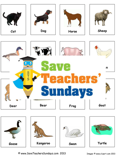 Animals and Their Offspring KS1 Lesson Plan and Matching Activity