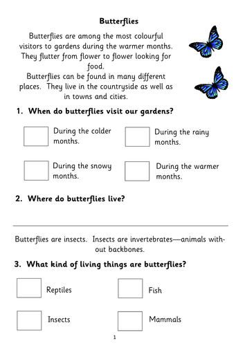 comprehension activities year 1 printable worksheet