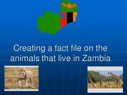 Presentation to present how to create a fact file on animals 