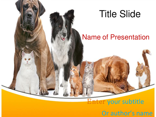 Dogs and Cats PPT Template