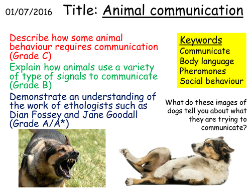  Animal Communication | Teaching Resources
