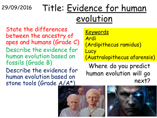 B3.17 Evidence for human evolution