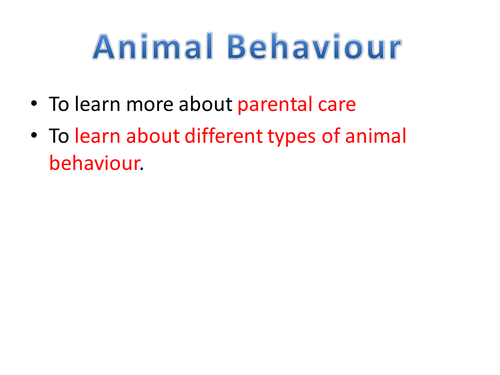 Animal Behaviour: KS3 and GCSE