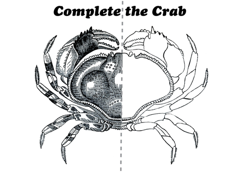 Complete the Crab Mark Making (Animals)