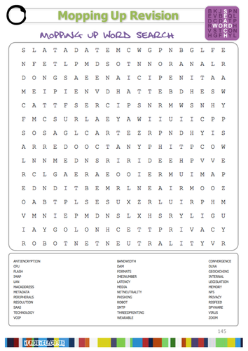 Mopping Up GCSE ICT Literacy Wordsearch